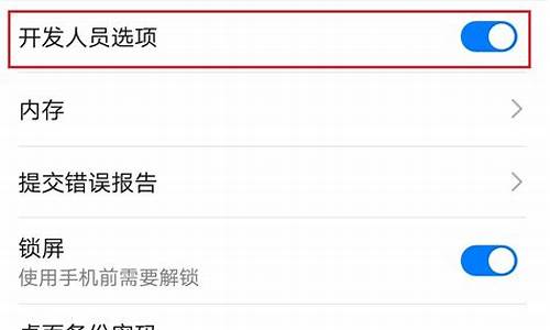 华为手机打开开发者选项有什么用处_华为手机打开开发者选项有什么用